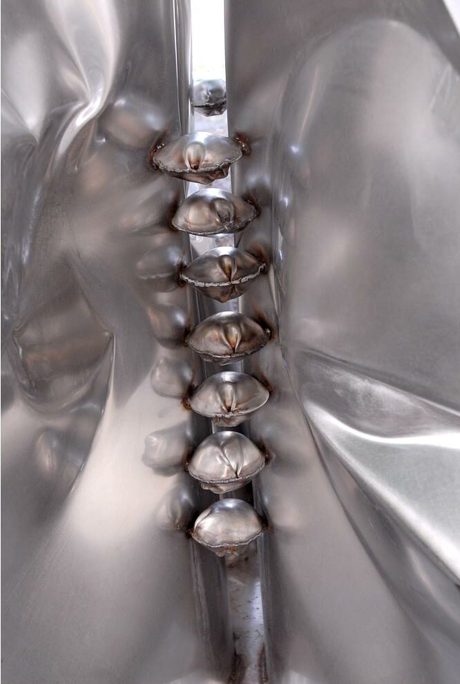 Photographie nature Sans titre 11