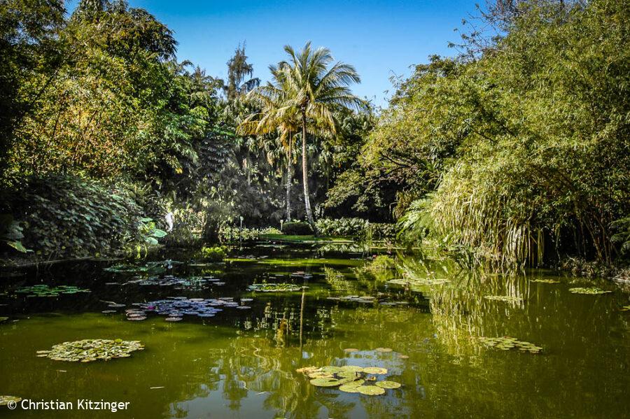 11 mars 2005 - Guadeloupe Guadeloupe