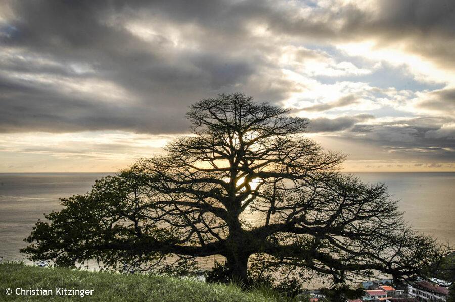 Le fromager de St Pierre Le fromager de St Pierre
