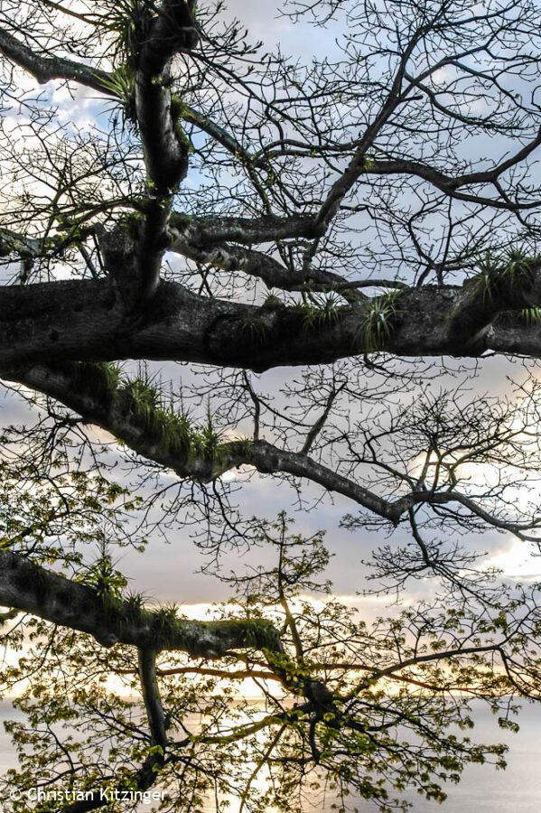 Saint-Pierre (Martinique) Saint-Pierre (Martinique)