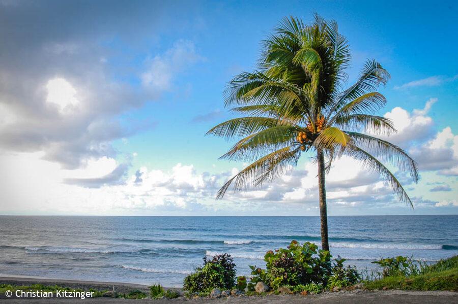13 mars 2005 - La Trinité La Trinité