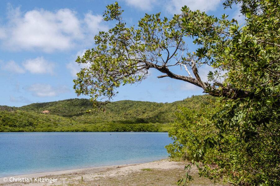 14 mars 2005 La Trinité La Trinité