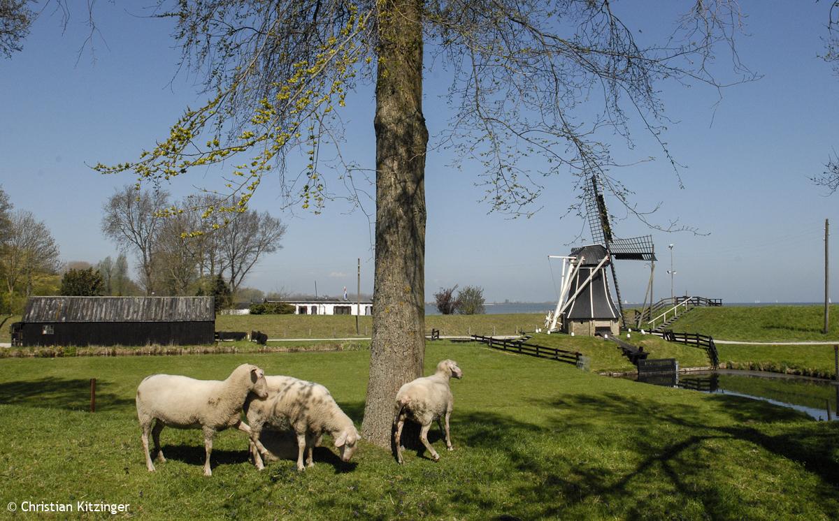 Enkhuizen 2013 (Zuiderzee Museum de plein air) Enkhuizen 2013 (Zuiderzee Museum de plein air)