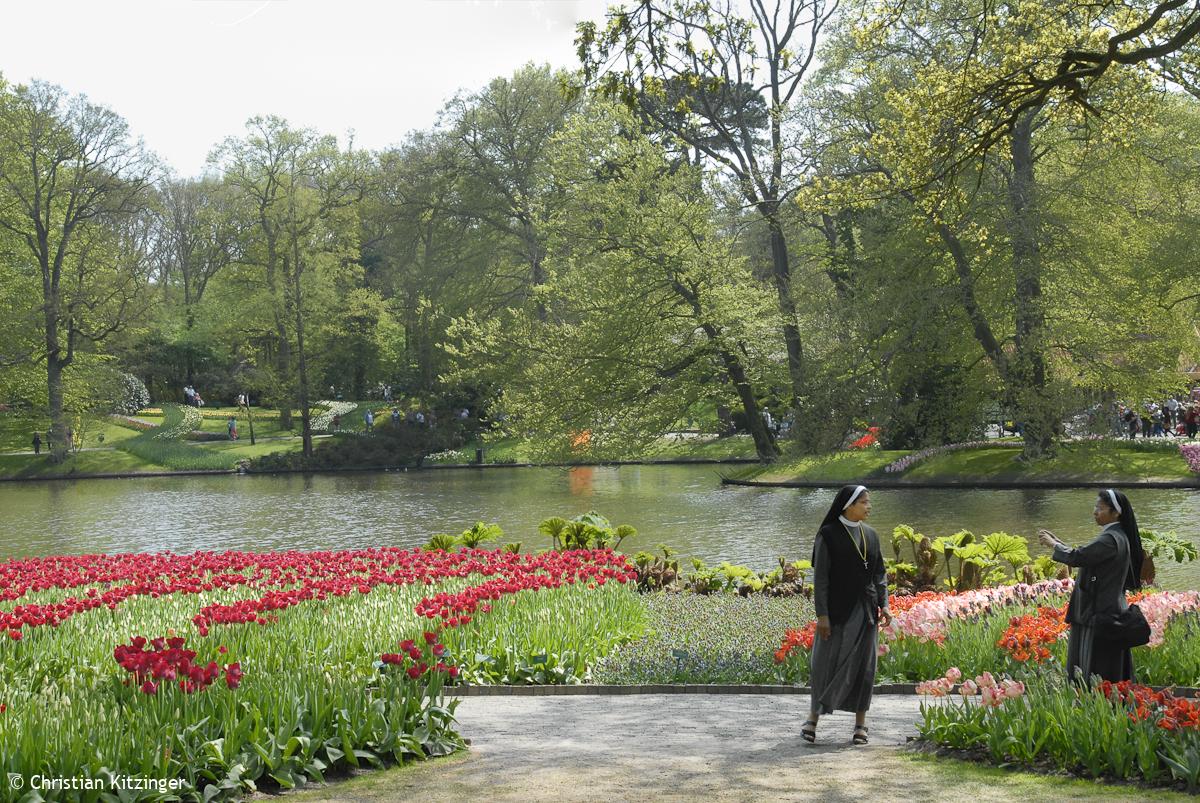 Keukenhof 2013 (Parc floral) Keukenhof 2013 (Parc floral)