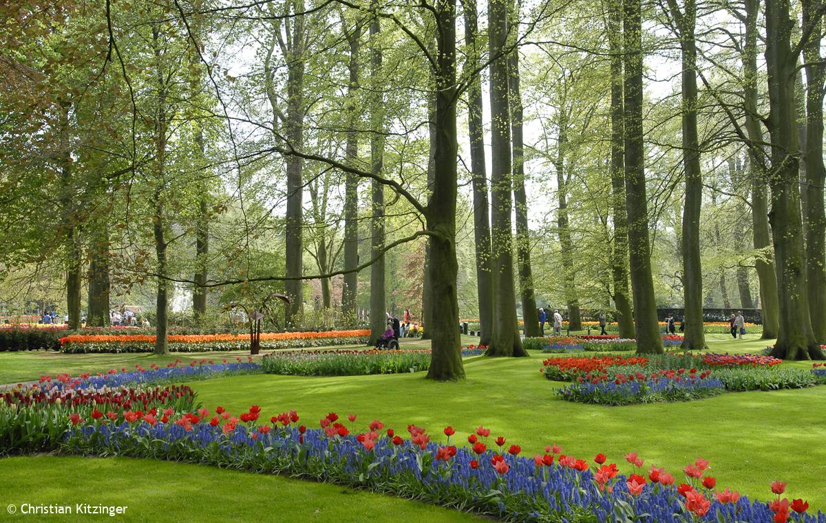 Keukenhof 2013 (Parc floral) Keukenhof 2013 (Parc floral)