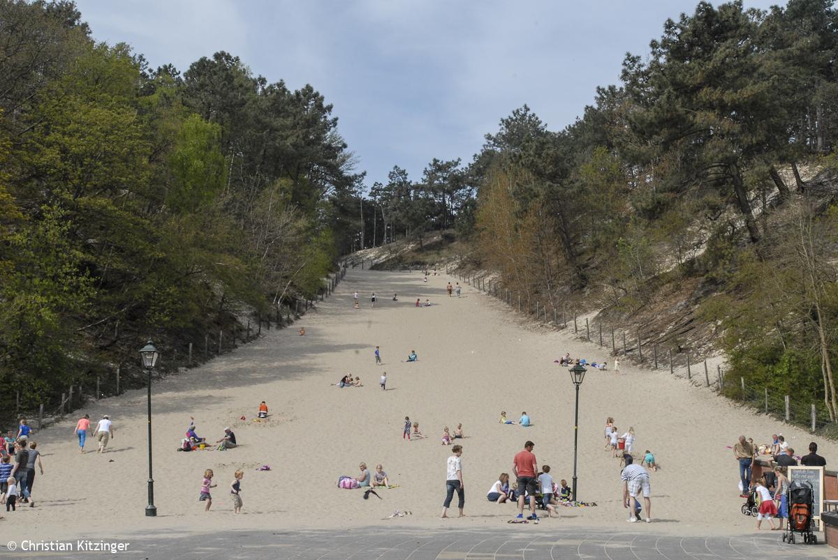 Schrool 2013 Schrool