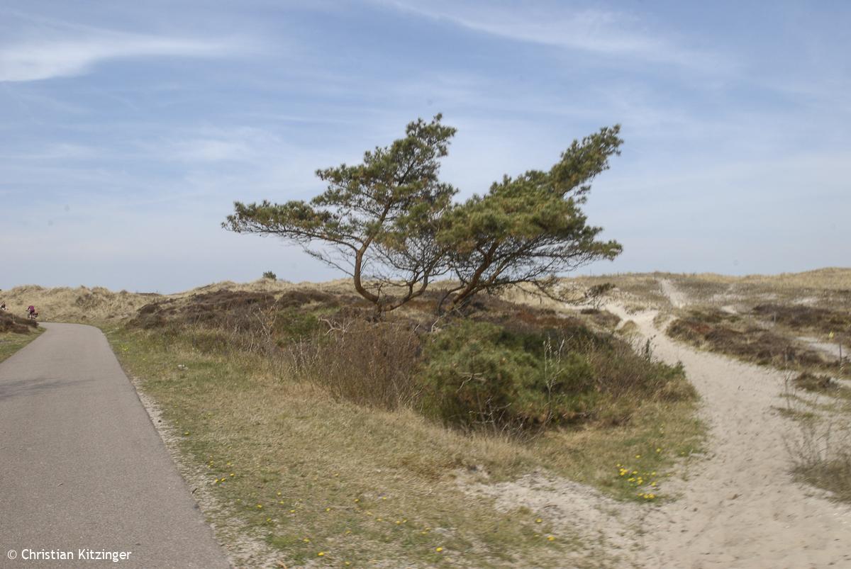 Entre Alkmaar et Schrool 2013 Entre Alkmaar et Schrool 2013