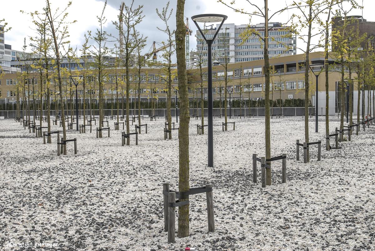 Rotterdam 2013 Rotterdam 2013