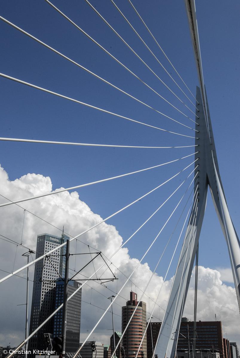 Rotterdam 2013 Rotterdam 2013