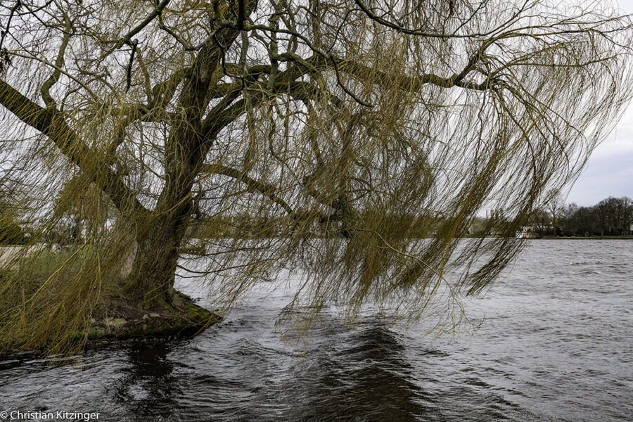Lac de l'Alster Lac de l'Alster