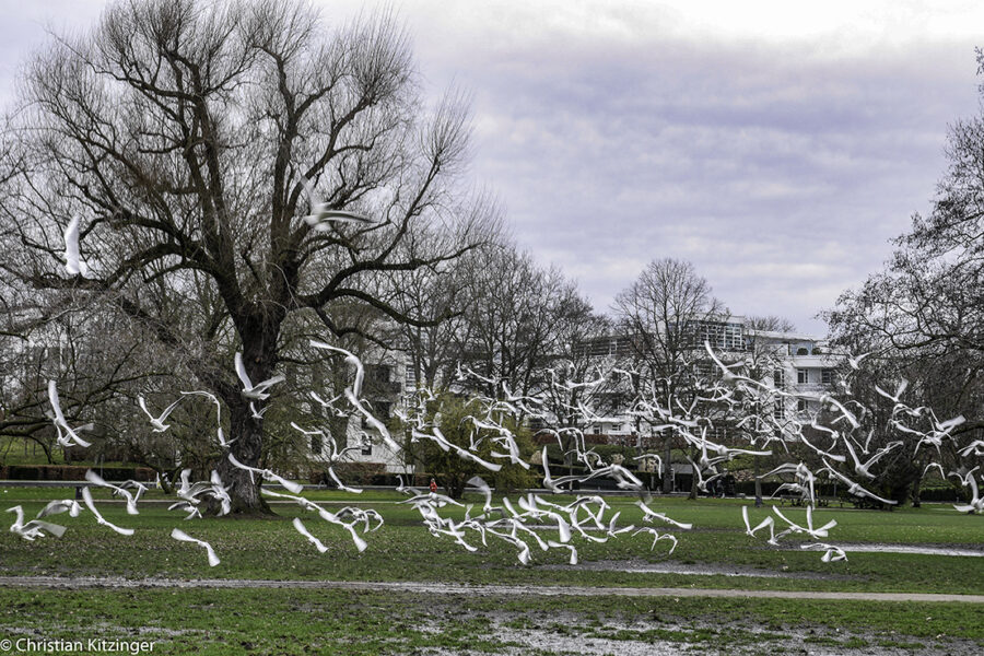 Alster-park Alster-park