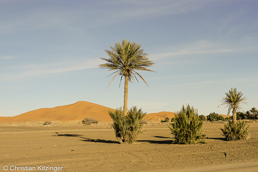 Hassilabied 2007 Hassilabied 2007