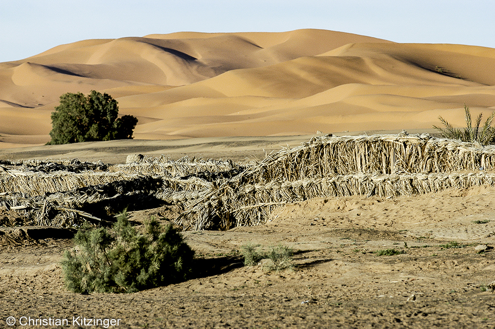 Hassilabied 2007 Hassilabied 2007