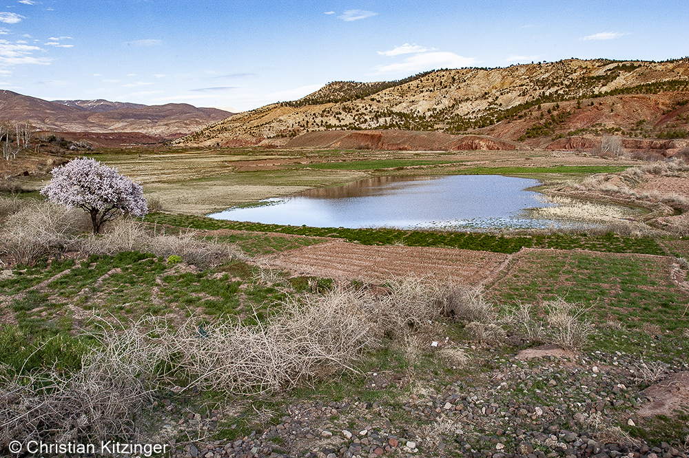 Télouet 2007 Télouet 2007