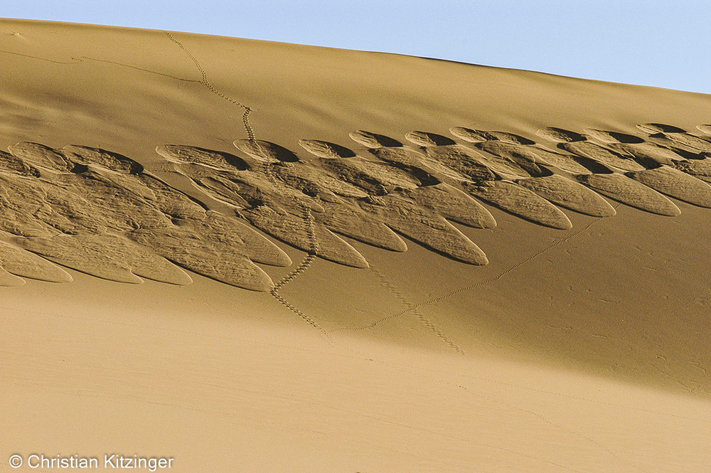 Erg Chebbi 2007 Erg Chebbi 2007