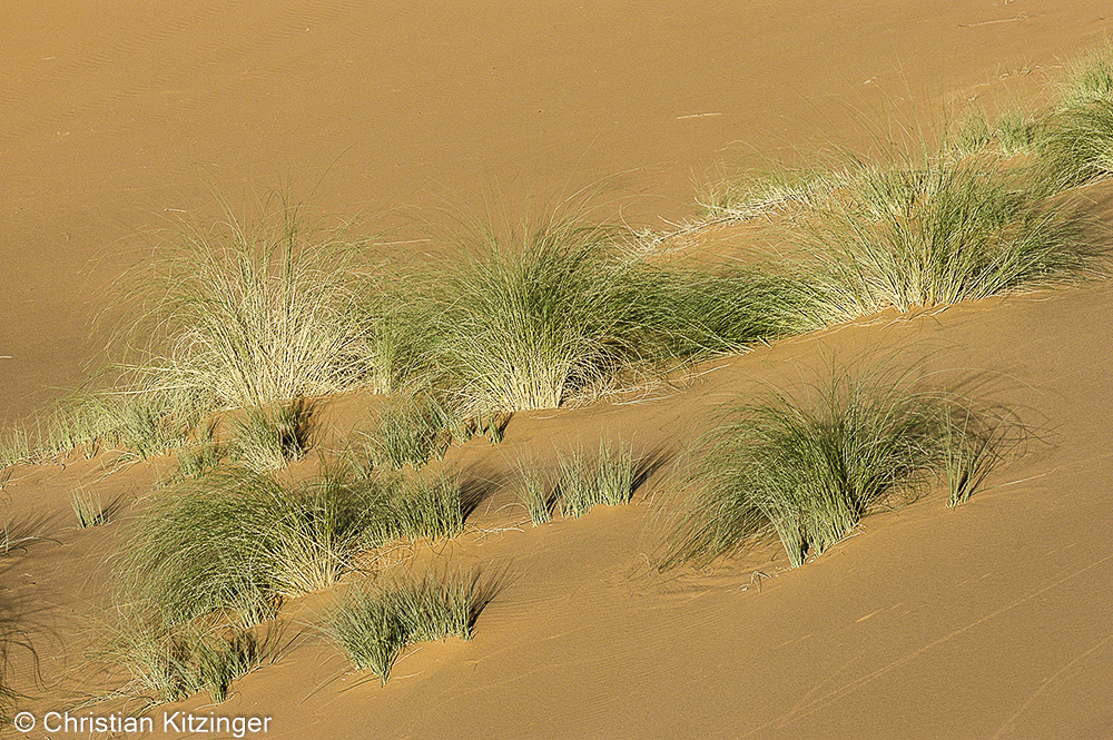 Erg Chebbi 2007 Erg Chebbi 2007
