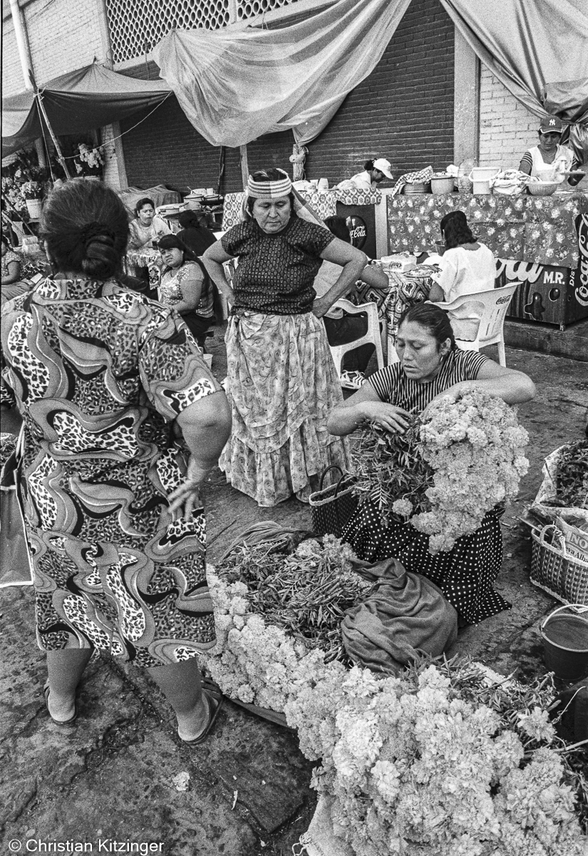 Dia de Muertos Dia de Muertos