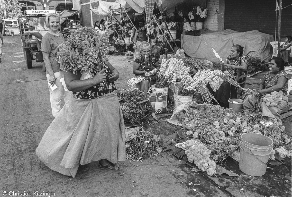 Dia de Muertos Dia de Muertos
