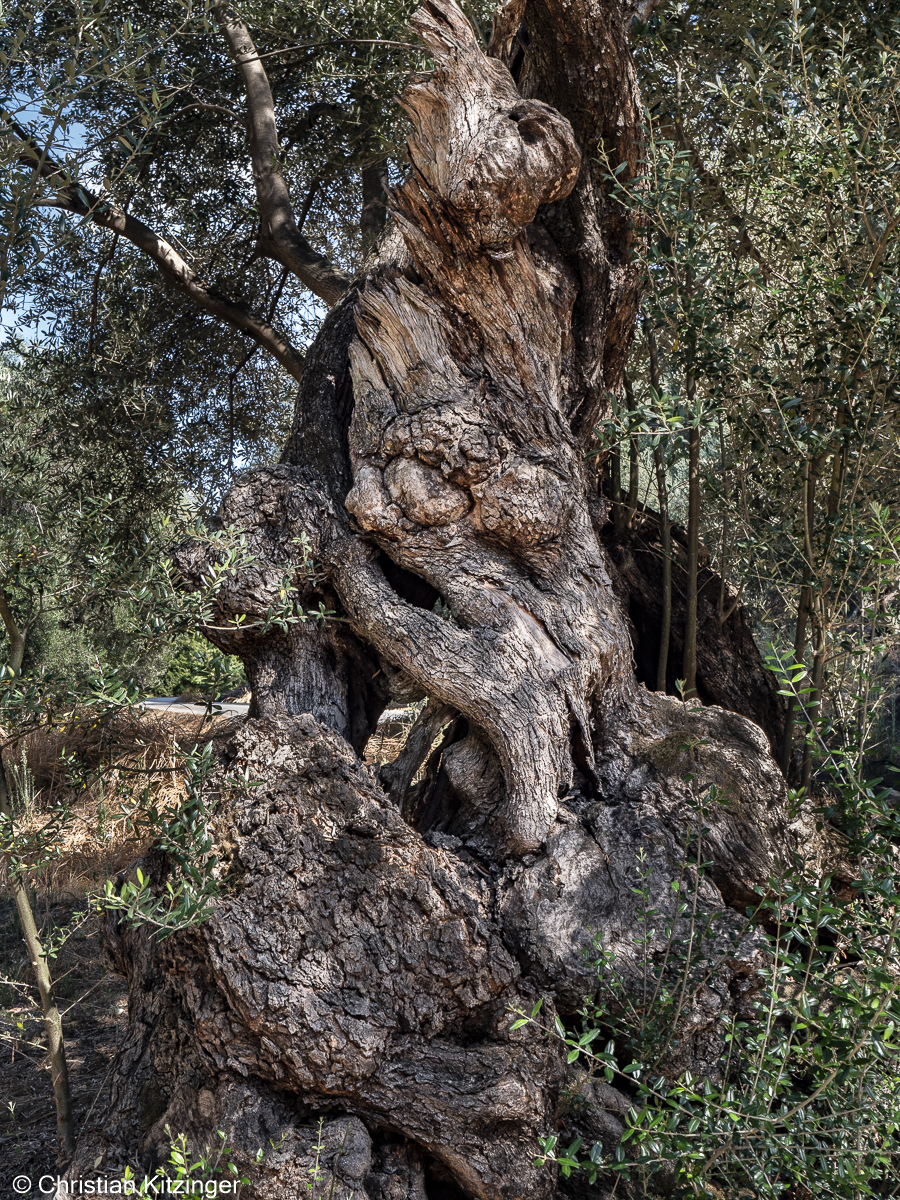 vers Sidari vers Sidari