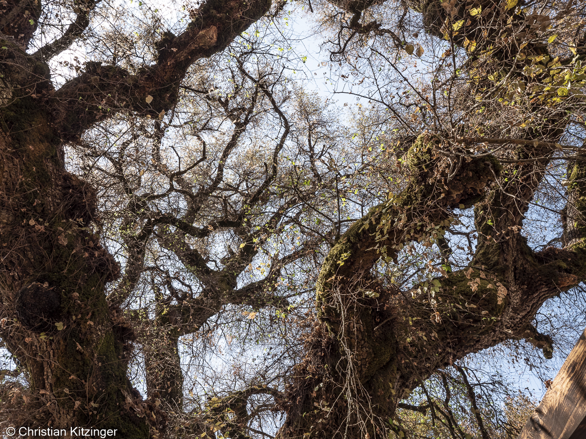 vers Pyrgi vers Pyrgi