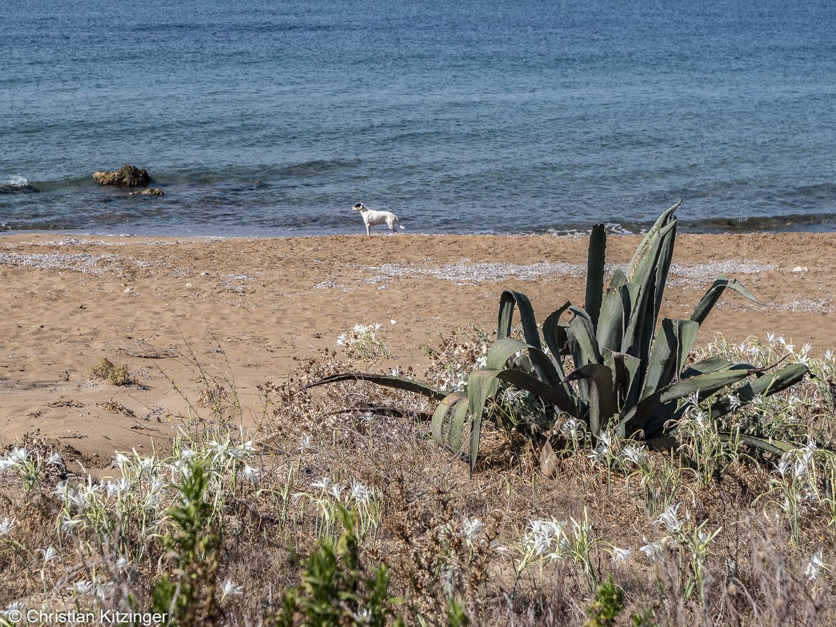 Kritika_Beach Kanoula Kritika_Beach Kanoula