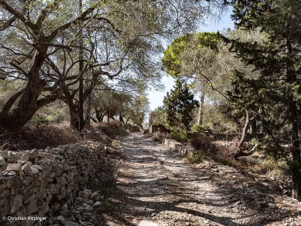 Gaïos vers l'Arche de Tripitos